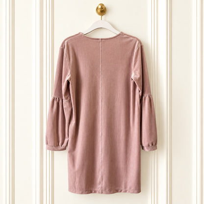 Madewell NWT Dusty Rose Velvet Dress