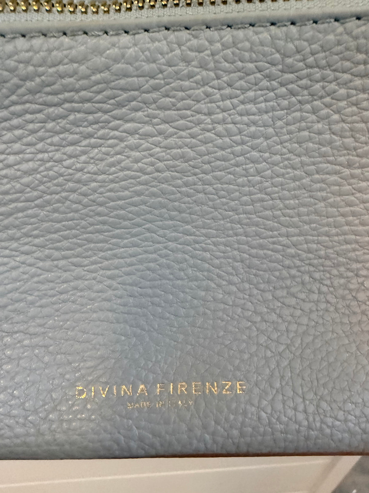 Davina Firenze  Light Blue Leather Handbag
